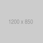 Fusce gravida magna eu facilisis fringilla 3 The Dress Brautmode aus Kreuzlingen bei Thurgau Julie the dress - The Dress Brautmode aus Kreuzlingen bei Thurgau Julie the dress - 1200x850